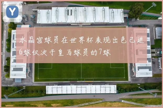 水晶宫球员在世界杯表现出色已进6球仅次于皇马球员的7球
